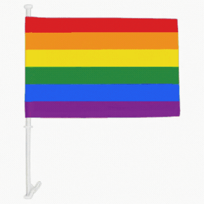 A Small Rainbow Flag With A White Pole GIF