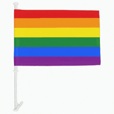 A Small Rainbow Flag With A White Pole Attached To It GIF