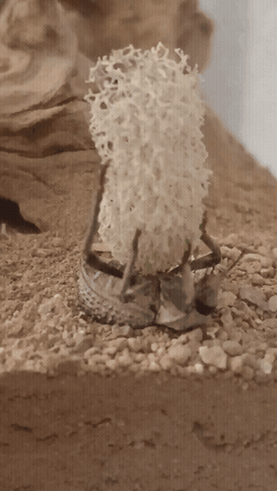 A Small Sculpture Of A Sheep Is Sitting On A Pile Of Gravel GIF