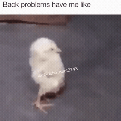 A Small White Chicken Is Walking On Its Hind Legs On A Gray Surface . GIF