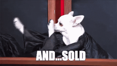 A Small White Chihuahua Is Sitting On A Table With The Words " And Sold " Written In White Letters GIF