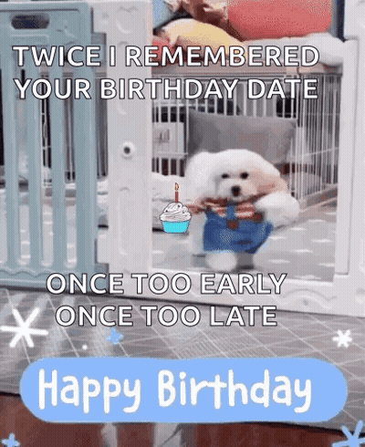 A Small White Dog Is Holding A Cupcake And A Birthday Cake While Wearing A Birthday Outfit . GIF