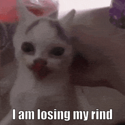 A Small White Dog Is Sitting On A Couch With The Words I Am Losing My Rind Above It GIF