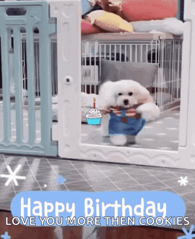 A Small White Dog Is Standing In A Cage Holding A Birthday Cake And A Candle . GIF