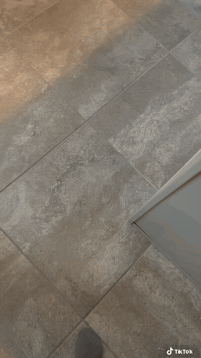 A Small White Dog Is Standing On Its Hind Legs And Looking Up At The Camera GIF