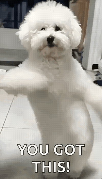 a small white dog is standing on its hind legs with its arms outstretched and says `` you got this ! ''