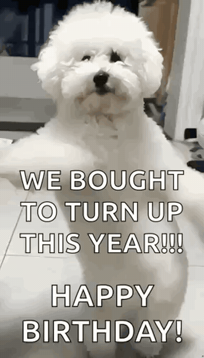 A Small White Dog Is Standing On Its Hind Legs With The Words `` We Bought To Turn Up This Year !! '' GIF