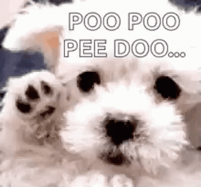 A Small White Dog Is Waving Its Paw And Says `` Poo Poo Pee Doo ... '' . GIF