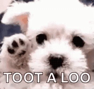A Small White Dog Is Waving Its Paw And Says `` Toot A Loo '' . GIF