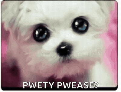 A Small White Dog With Blue Eyes Is Sitting On A Pink Surface With The Words `` Pwetty Pwease '' . GIF