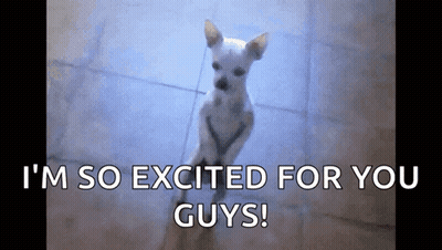 A Small White Dog With The Words I 'M So Excited For You Guys GIF