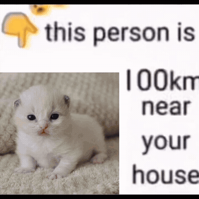 A Small White Kitten Is Sitting On A Blanket Next To A Text That Says This Person Is 100Km Near Your House GIF