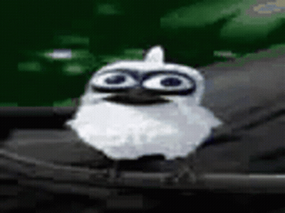 A Small White Owl With Big Eyes Is Sitting On A Black Object . GIF