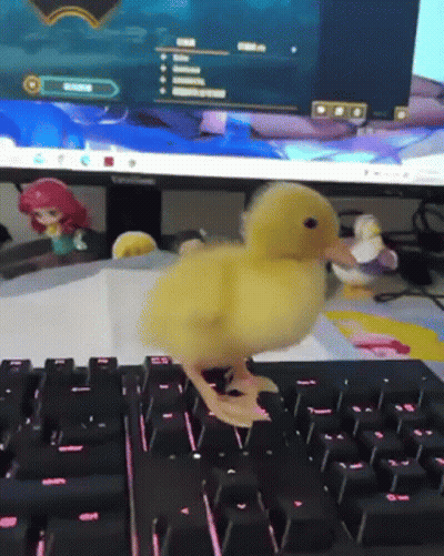 A Small Yellow Duck Is Walking On A Computer Keyboard GIF