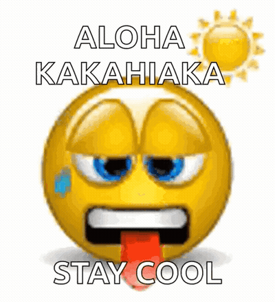 A Smiley Face With The Words Aloha Kakahiaka Stay Cool GIF