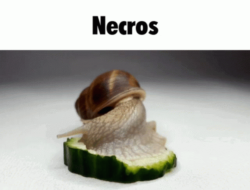 A Snail Is Crawling On A Slice Of Cucumber With The Word Necros Above It GIF