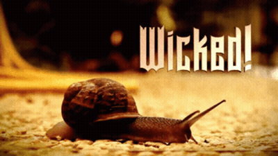 A Snail Is Crawling On The Ground With The Words Wicked Written Above It GIF