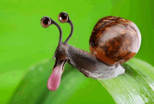 A Snail With A Long Tongue Sticking Out Is Sitting On A Leaf . GIF