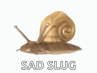 A Snail With The Words Sad Slug Written Below It GIF