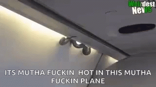 A Snake Is Crawling Out Of The Ceiling Of An Airplane . GIF