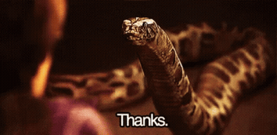 A Snake Is Laying On A Table With The Words Thanks Below It GIF