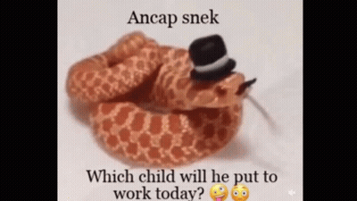 A Snake Wearing A Top Hat With The Caption Ancap Snek Which Child Will He Put To Work Today GIF