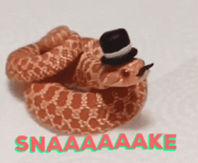 A Snake Wearing A Top Hat With The Words Snaaaaake Written Below It GIF