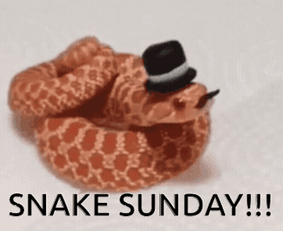A Snake Wearing A Top Hat With The Words `` Snake Sunday '' Written On It . GIF