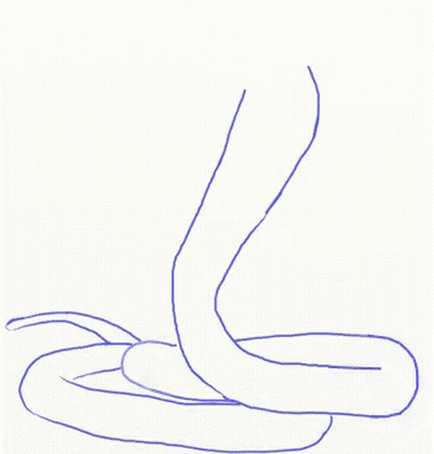 A Snake With Its Mouth Open And A Long Tail GIF