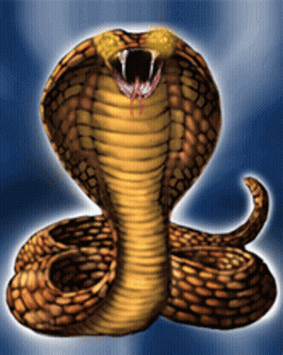 A Snake With Its Mouth Open And Blood Coming Out Of It GIF