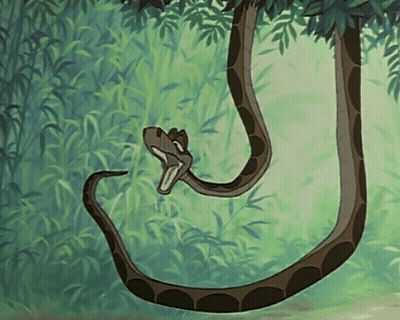 A Snake With Its Mouth Open Is Hanging From A Tree Branch GIF