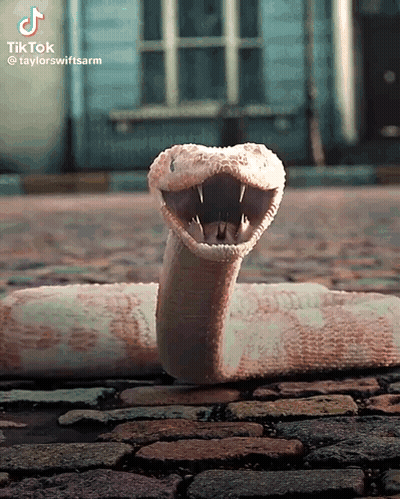 A Snake With Its Mouth Open On A Cobblestone Road GIF
