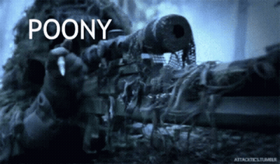 A Sniper In A Camouflage Uniform Is Holding A Rifle With The Word Poony Above It GIF