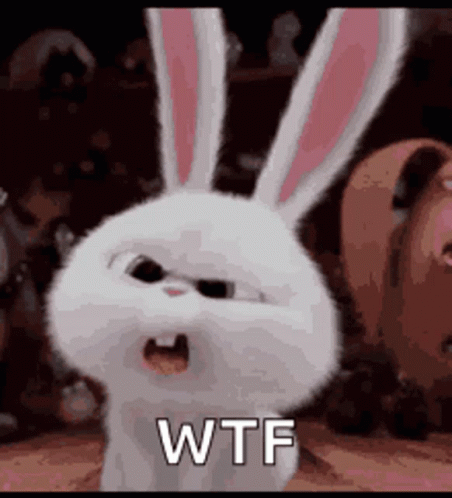 A Snowball Rabbit From The Secret Life Of Pets Is Making A Funny Face And Saying Wtf . GIF