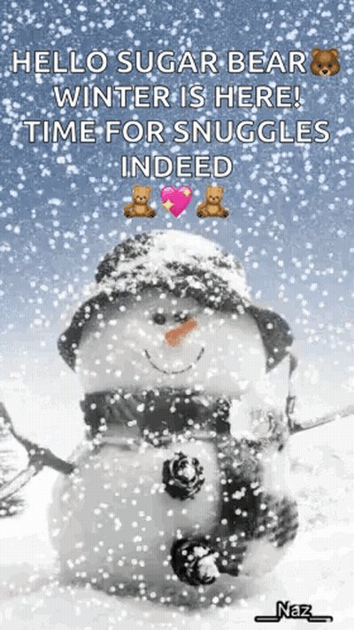 A Snowman With A Hat And Scarf Is Standing In The Snow GIF