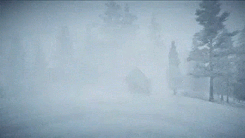 A Snowy Field With Trees In The Background And A Foggy Sky GIF