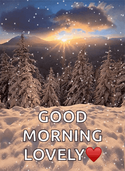 A Snowy Forest With The Words Good Morning Lovely On It GIF