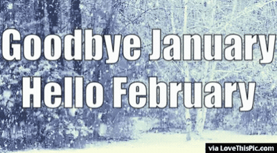 A Snowy Forest With The Words Goodbye January Hello February GIF