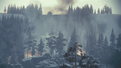A Snowy Forest With Trees And Smoke Coming Out Of It GIF