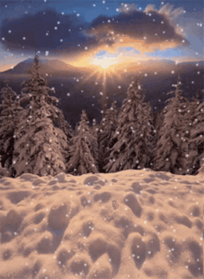 A Snowy Forest With Trees Covered In Snow And A Sunset In The Background GIF