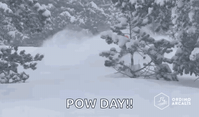 A Snowy Forest With Trees Covered In Snow And The Words Pow Day Written On The Bottom . GIF