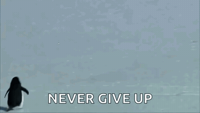 A Snowy Landscape With The Words Never Give Up GIF