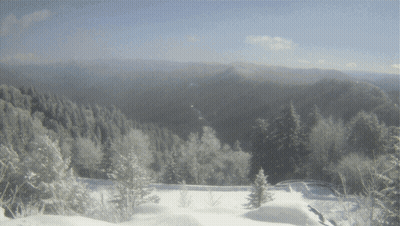 A Snowy Landscape With Trees Covered In Snow And Mountains In The Background GIF