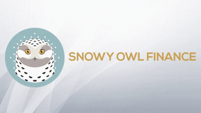 A Snowy Owl In A Blue Circle And A Snowy Owl In A Black Circle On A Gray Background GIF