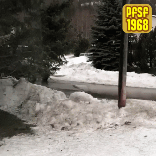 A Snowy Road With A Sign That Says Pasf 1968 On It GIF
