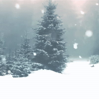 A Snowy Scene With A Tree In The Foreground GIF