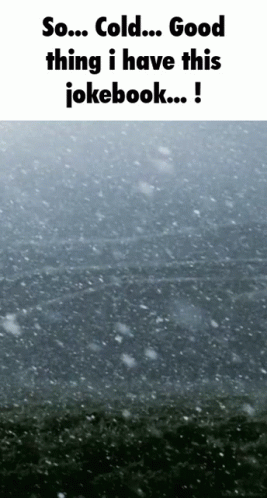 A Snowy Scene With The Words So Cold Good Thing I Have This Jokebook GIF