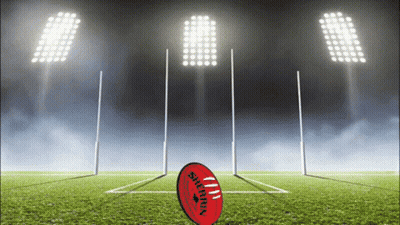 A Soccer Ball That Says Sherrin On It Is On A Field GIF