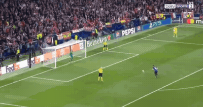 A Soccer Field With Advertisements For Pepsi And Heineken On The Side GIF