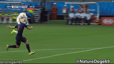 A Soccer Goal With The Word Budweiser On The Side GIF